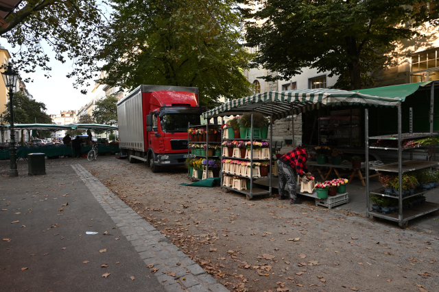 DSC_2877_001.JPG