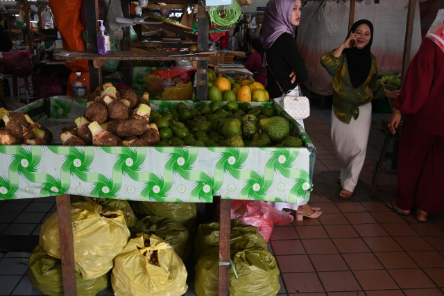 DSC_3362_001.JPG