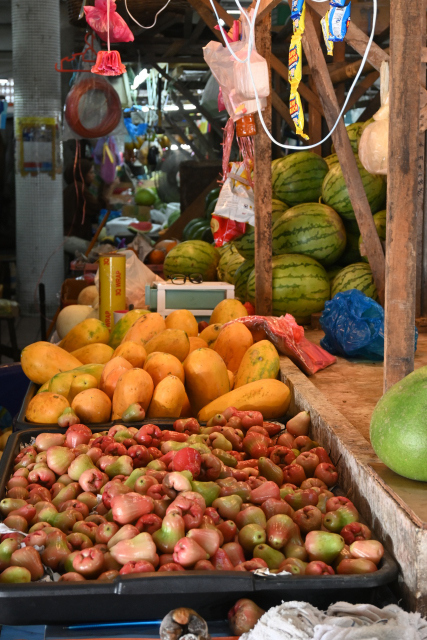 DSC_3365_001.JPG