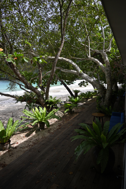 DSC_4008_001.JPG