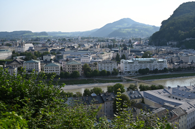 DSC_4527_001.JPG