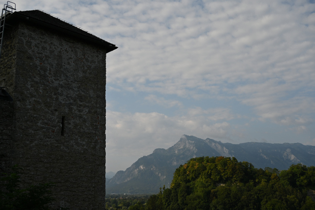 DSC_4533_001.JPG