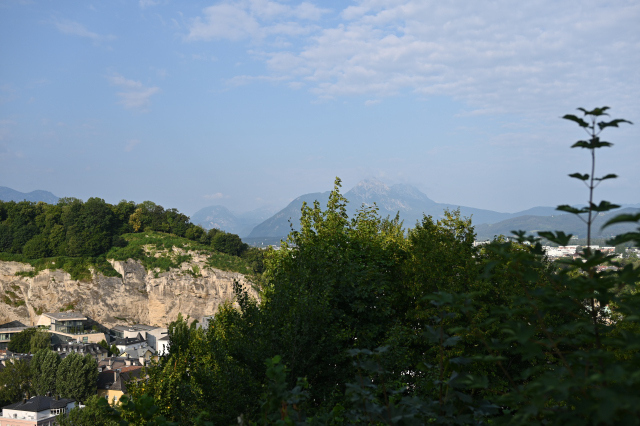 DSC_4534_001.JPG
