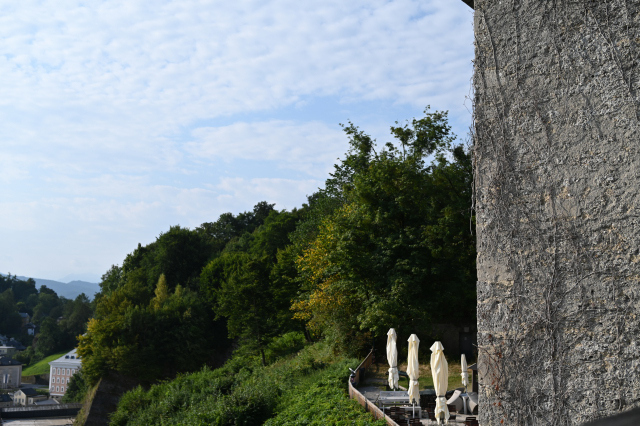 DSC_4538_001.JPG