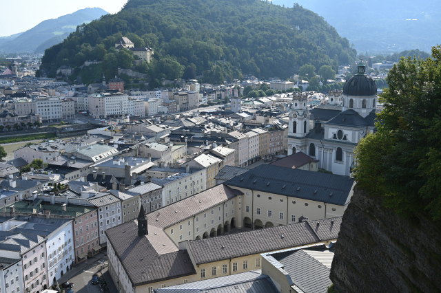 DSC_4555_001.JPG