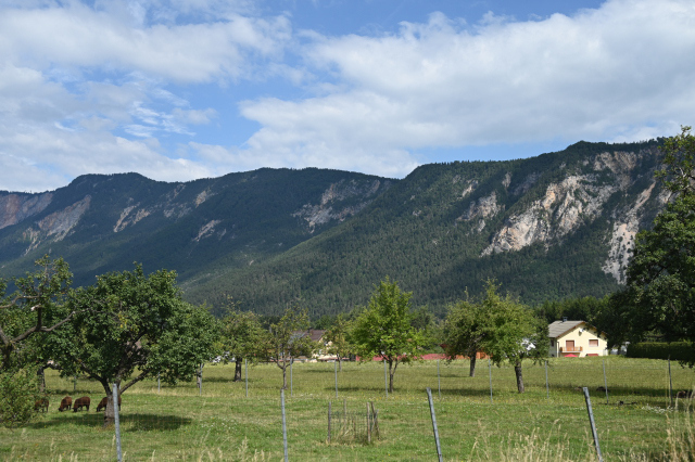 DSC_4655_001.JPG
