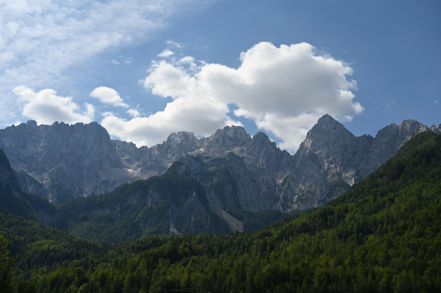 DSC_4687_001.JPG