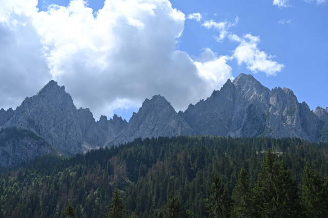 DSC_5114_001.JPG
