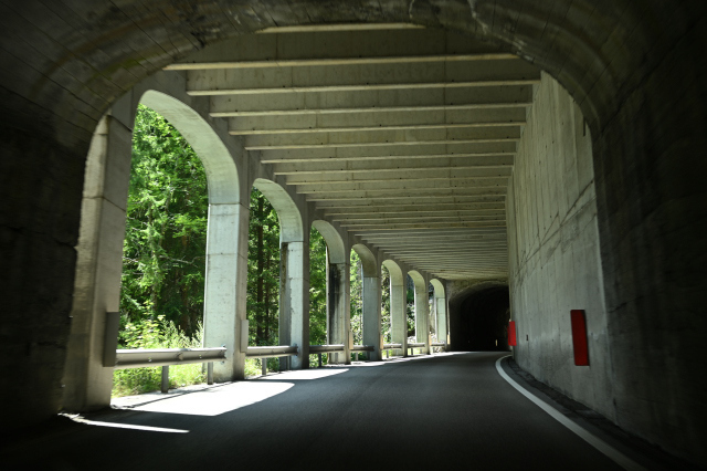 DSC_5118_001.JPG