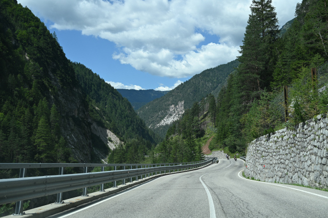 DSC_5131_001.JPG