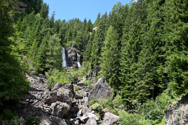 DSC_5155_001.JPG