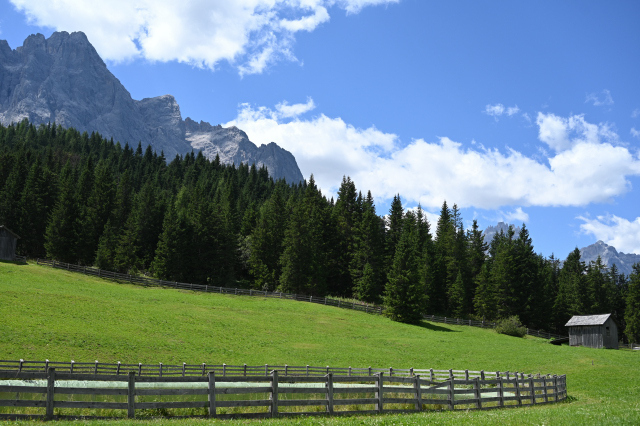 DSC_5164_001.JPG