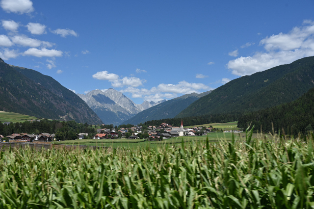 DSC_5185_001.JPG