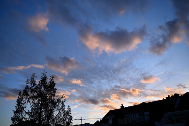 DSC_5408_001_02.JPG