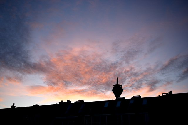 DSC_5409_001_03.JPG