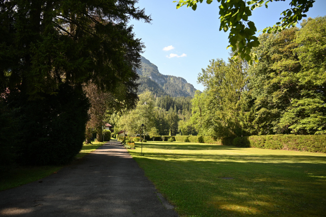 DSC_5550_001.JPG