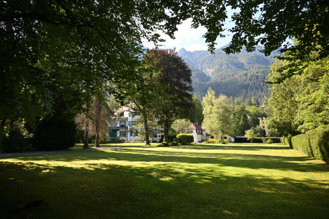 DSC_5552_001.JPG