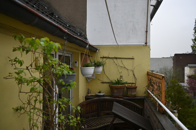 DSC_5566_001.JPG