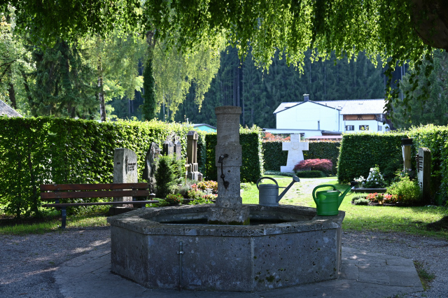 DSC_5578_001.JPG