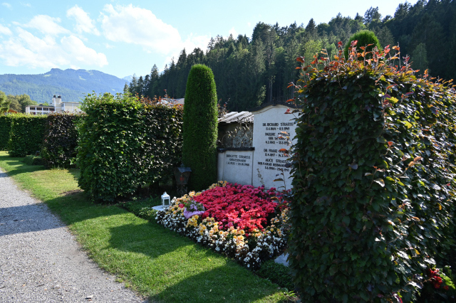 DSC_5593_001.JPG