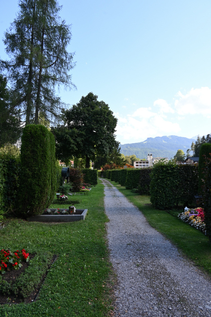 DSC_5595_001.JPG