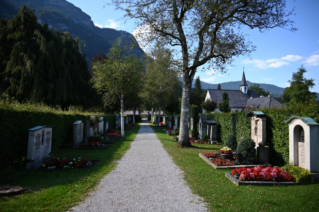 DSC_5624_001.JPG