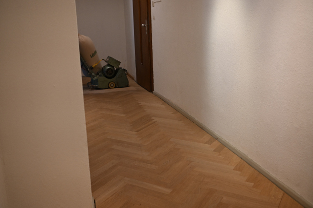 DSC_5650_001.JPG