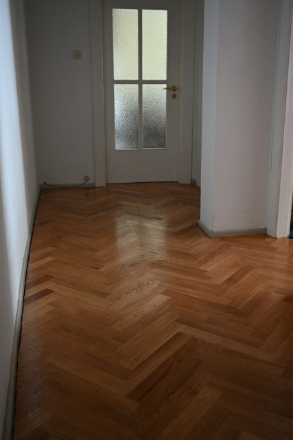 DSC_5667_001.JPG