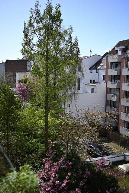 DSC_5735_001.JPG