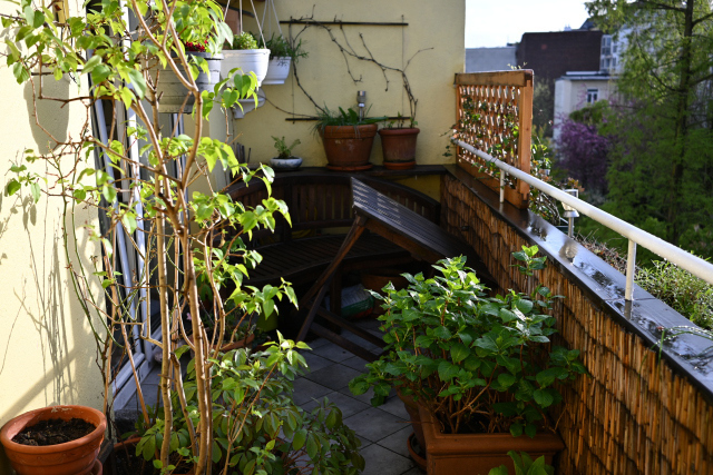 DSC_5748_001.JPG