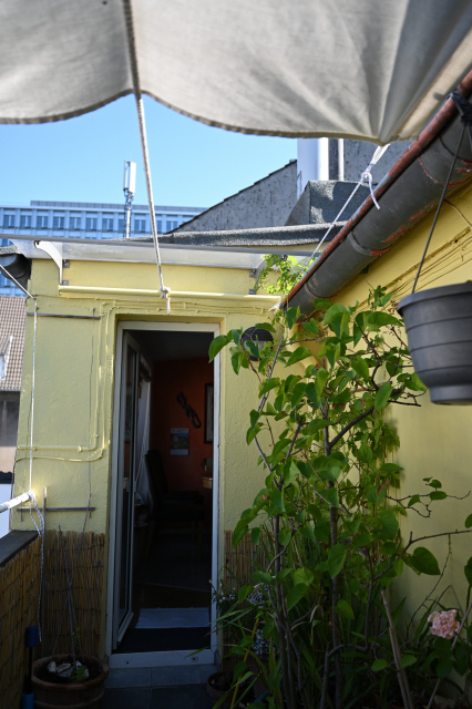 DSC_5768_001.JPG