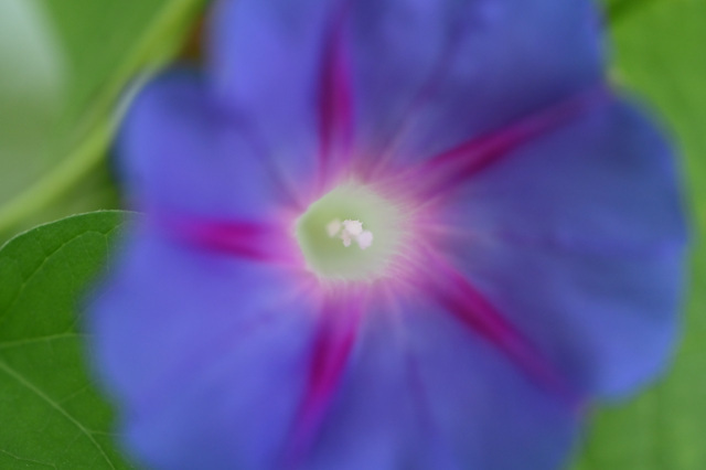 DSC_5879.JPG