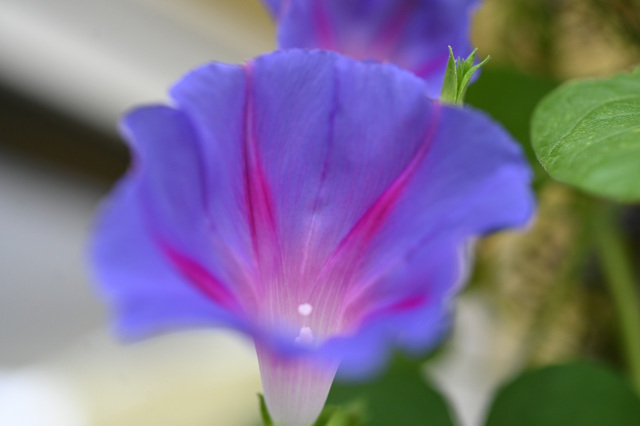 DSC_5880.JPG