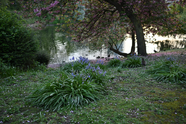 DSC_5881_001_01.JPG