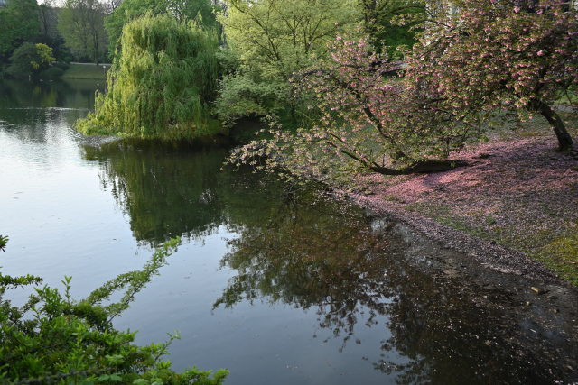 DSC_5943_001_01.JPG