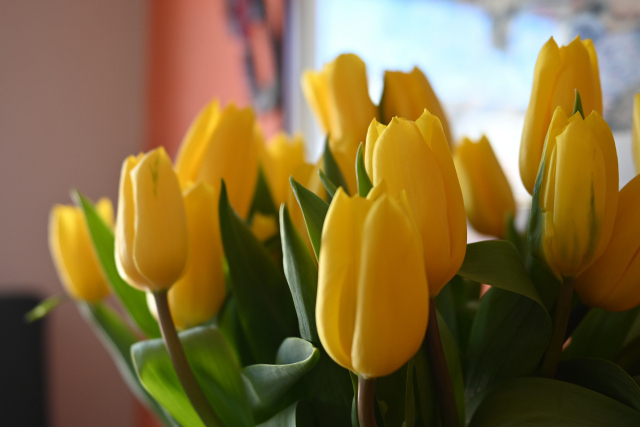 DSC_5986_001.JPG