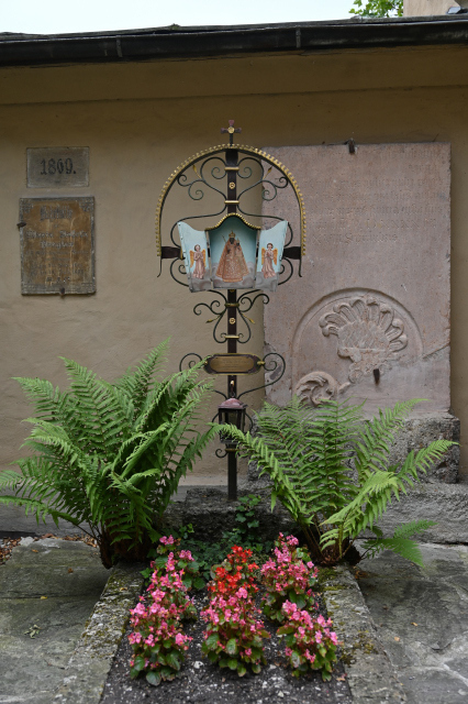 DSC_6036_001.JPG