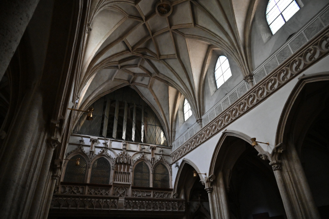 DSC_6042_001.JPG