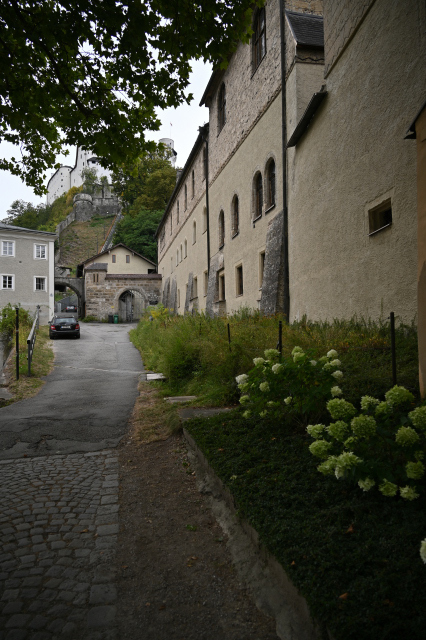 DSC_6078_001.JPG