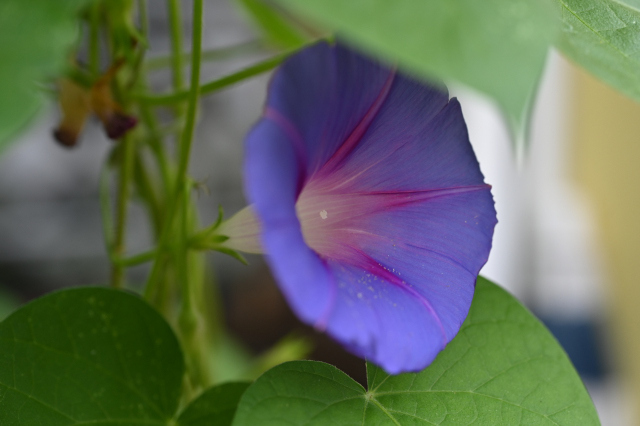 DSC_6166_001.JPG