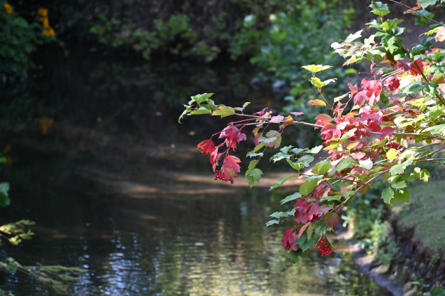 DSC_6192_001_01.JPG