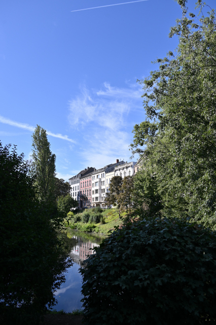 DSC_6211_001.JPG