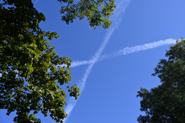 DSC_6226_001.JPG