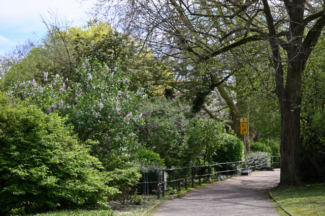 DSC_6403_001.JPG