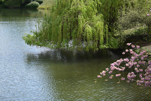 DSC_6406_001.JPG
