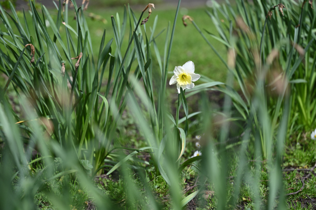 DSC_6410_001.JPG