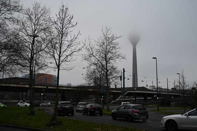 DSC_6468_001.JPG