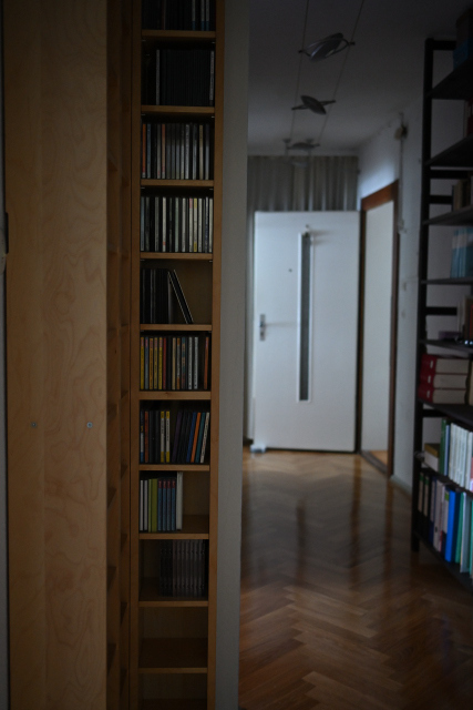 DSC_6508_001.JPG
