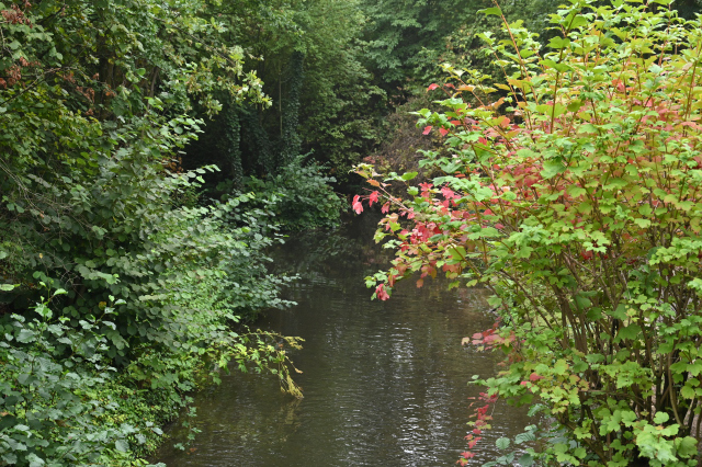 DSC_6539_001.JPG