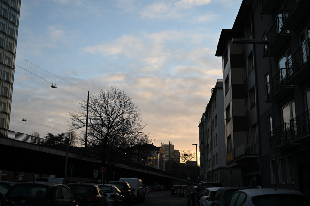 DSC_6542_001.JPG